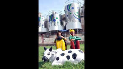 Amul Dairy raises milk procurement prices from June 1