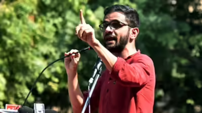 Error in verdict, refer case to larger bench: Cops to SC over denying bail to Umar, Sharjeel