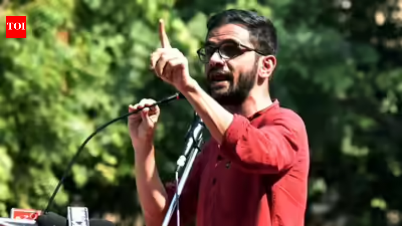 Error in verdict, refer case to larger bench: Cops to SC over denying bail to Umar