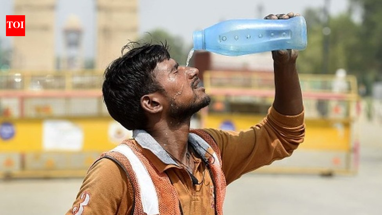 City tops 46°C on torrid Tuesday; scorching days ahead, warns IMD