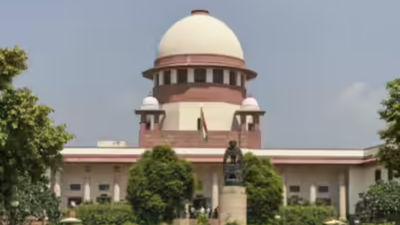 Supreme Court: Courts not bound by govt’s N-liability cap