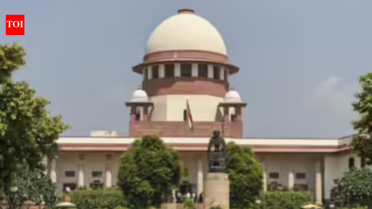 Supreme Court: Courts not bound by govt’s N-liability cap
