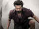'Karuppu' box office collections day 5: Suriya&rsquo;s film earns Rs 12.75 crore net; Worldwide gross reaches Rs 161.04 crore