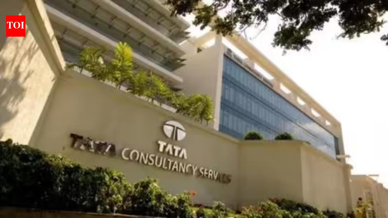 TCS staff cites salary cut after appraisal, co disagrees
