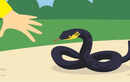 What most people do wrong when they suddenly spot a snake