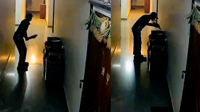This delivery boy paused outside a customer’s flat to play cricket with a discarded bat: Why this simple act raises uncomfortable parenting questions