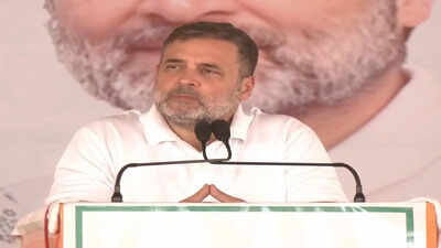 'PM says don't go abroad, but himself flies in planes worth thousands of crores': Rahul Gandhi