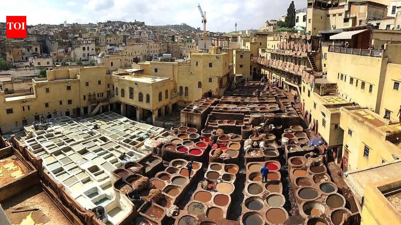 Chouara Tannery in Fez: The oldest and smelliest leather-making site in Morocco