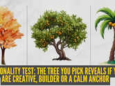 Personality test: Autumn tree, fruit‑bearing tree, or tropical palm tree? The tree you pick reveals if you are creative, builder or a calm anchor