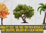 Personality test: Autumn tree, fruit‑bearing tree, or tropical palm tree? The tree you pick reveals if you are creative, builder or a calm anchor