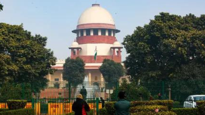 Supreme Court issues notice to Centre on plea against sale of alcohol in tetra packs
