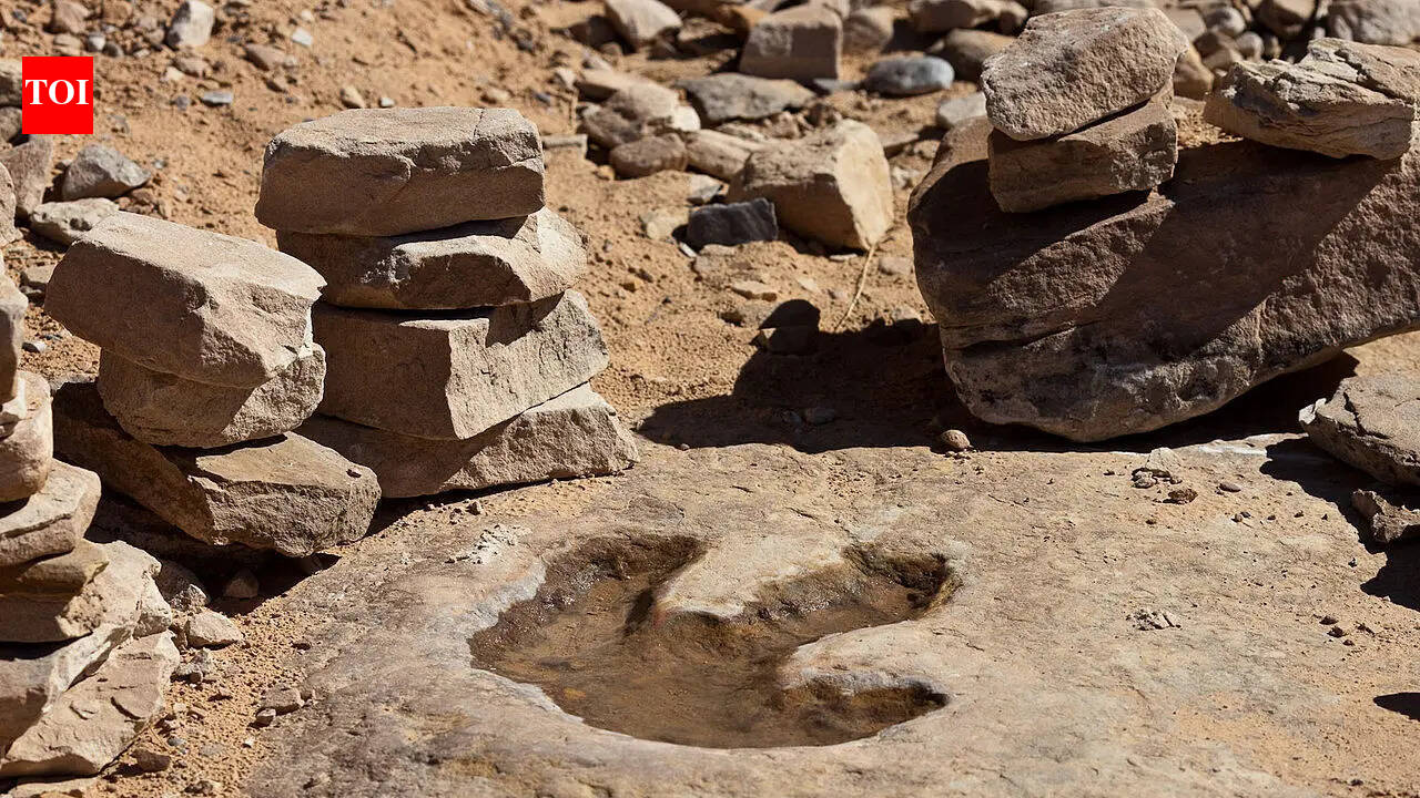 In 2021, a 4-year-old girl walking on a beach spotted a mark in a rock that turned out to be a dinosaur footprint