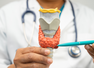 Your Thyroid may be reacting to what&rsquo;s on your plate: Doctor warns about the foods that help, harm, and confuse most people