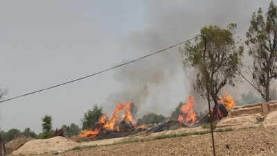 Pakistan Air Force jet crashes during training mission: Reports