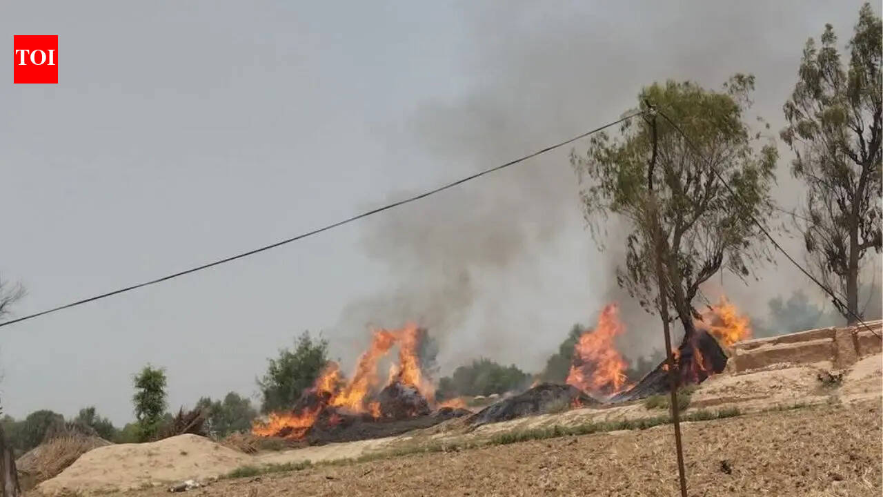 Pakistan Air Force jet crashes during training mission: Reports