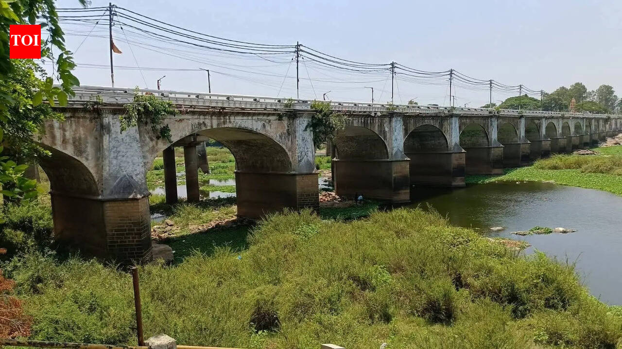 Push to replace Tunga bridge with flyover draws opposition fro heritage ...