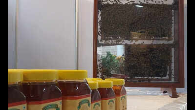 Fake Kodagu honey flooding Karnataka markets: Beekeepers
