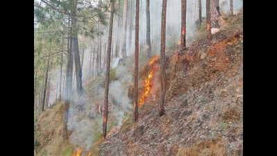 Srinagar in Pauri Garhwal records 390 AQI as wildfires, vehicles foul air