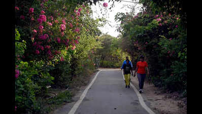 Why this forest is the hottest area in Delhi