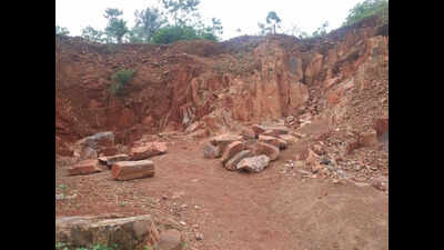 Jajpur collector asked to take action against encroachers in Buddhist sites