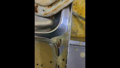 Cockroach found in South Campus DU hostel mess food, students hold protest