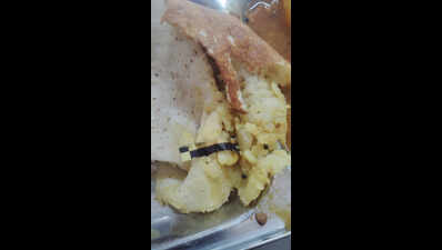 Cockroach found in South Campus DU hostel mess food, students hold protest