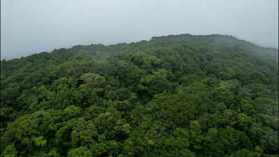 Avachitgad is Goa’s second highest peak, finds new study