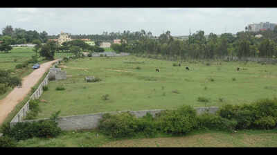 Pune collectorate sends final proposal for permanent transfer of Mundhwa land to BSI