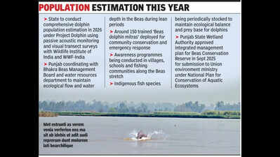 Notified 185km reserve, established wetlands authority: Punjab explains how it’s protecting Indus river dolphin