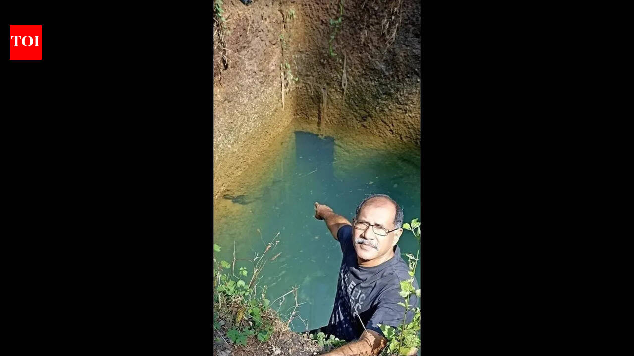 Stepwell with tunnel system helps transform Rivona farm