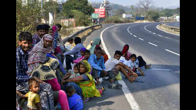 Gujarat govt to send proposals of road widening in forest areas to Union govt