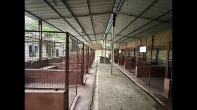 City’s first dog shelter to come up at Kadarpur
