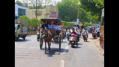 Chemists ride horse carts, e-rickshaws in Khargone to protest against online drug trade