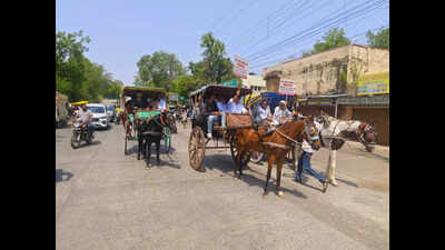 Chemists ride horse carts, e-rickshaws in Khargone to protest against online drug trade