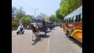 Chemists ride horse carts, e-rickshaws in Khargone to protest against online drug trade