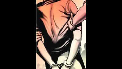 In drive against violence, cops seize 12 arms, arrest 8