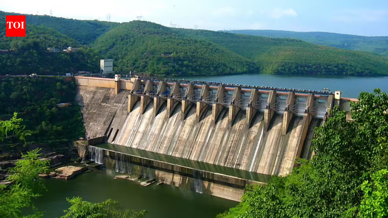 No new hydel projects on Ganga in Uttarakhand: Govt | India News  timesofindia.indiatimes.com