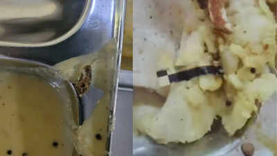Cockroach found in DU South Campus hostel mess food; students protest