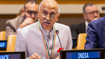 'Bombs its own people': India slams Pakistan at UNSC, flags 'long-tainted record of genocidal acts'