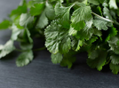 How to make fresh cilantro last much longer at home