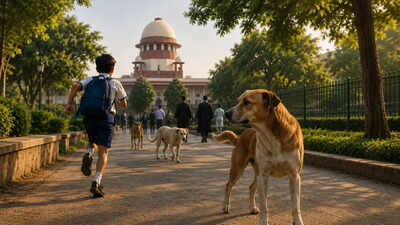 Over 4 lakh dog bites in Tamil Nadu and Karnataka in just four months, here's what the Supreme Court ruled