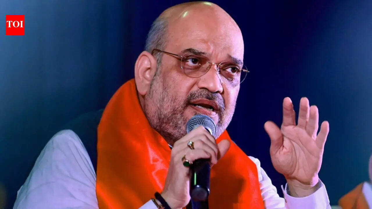 Amit Shah likely to visit Rajasthan on May 25 to review cross-border drone smuggling threat