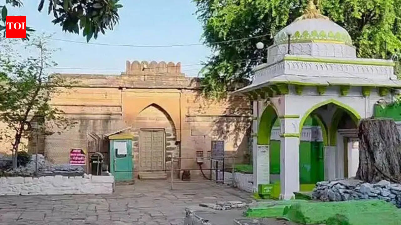 Bhojshala verdict: Fresh plea seeks removal of 'unauthorised Islamic symbols', excavation at complex & no entry fee