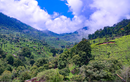 Coonoor, Tamil Nadu