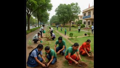 Forest dept plans to plant 34,000 saplings in Mysuru city