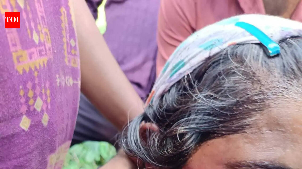 Elephant attack injures woman near Siddapur