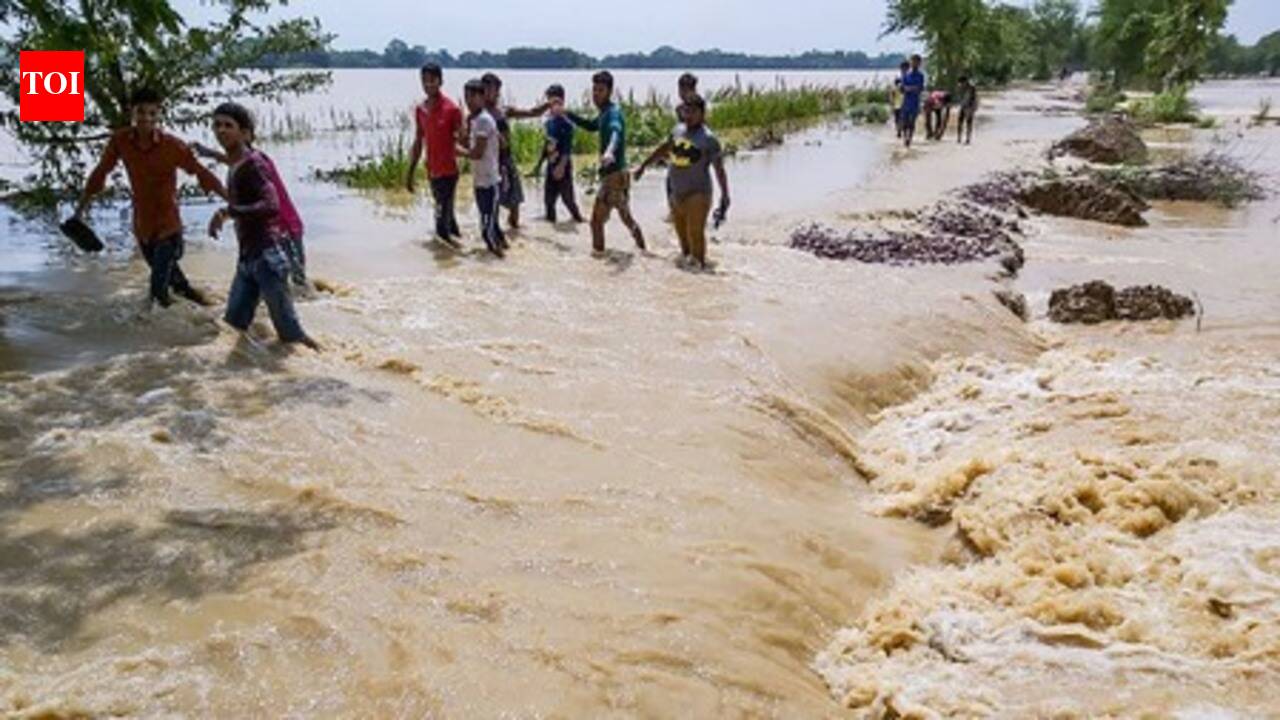 Madhubani DM reviews flood preparedness