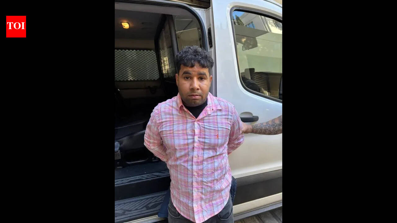 California hit-and-run: Indian man arrested by ICE after state releases him, 4-year-old victim expected to survive