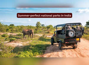 7 summer-perfect national parks in India promising an unforgettable escape; best time to visit and more