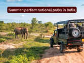 7 summer-perfect national parks in India promising an unforgettable escape; best time to visit and more